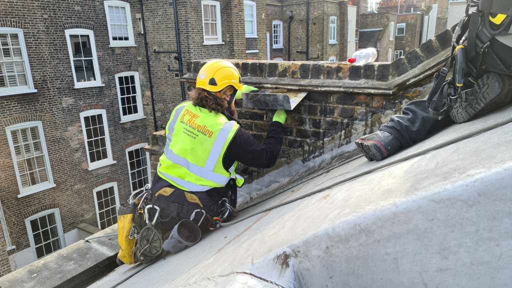 Pointing repairs without scaffolding